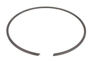 F411301021310-AGCO, Wheel reduction gear repair kit DANA SPICER