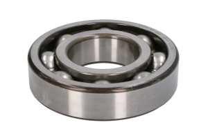 005.01.3685-DS, Bearing, differential shaft DANA SPICER