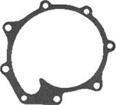 C5NE8513A, Water Pump Gasket Ford Dexta 2000 5000 QTP