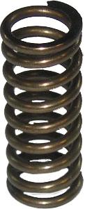 thumbnail of Transmission Spring