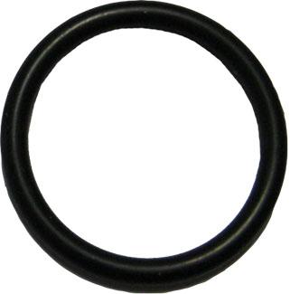 thumbnail of O Ring Ford Dual Power