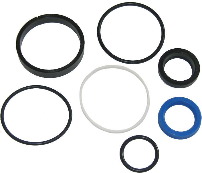 S43343, Power Steering Ram Seal Kit 290 298 590 690 6 QTP