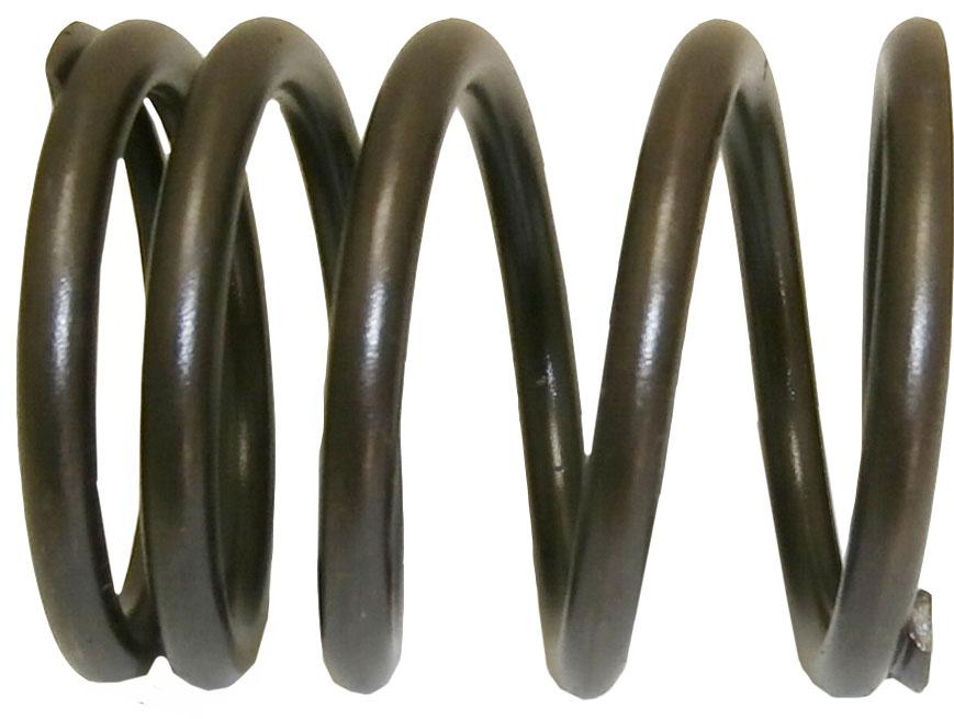 thumbnail of Valve Spring 1004 1006