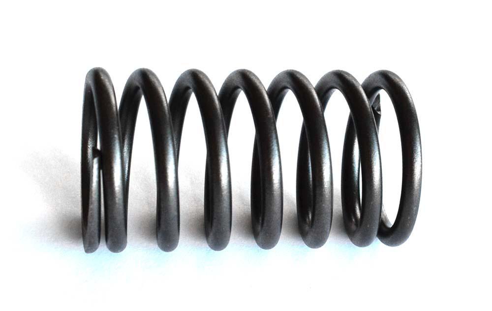 thumbnail of Outer Valve Spring Valtra 00 05