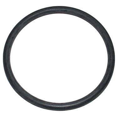 thumbnail of Lift Arm Piston O Ring 290