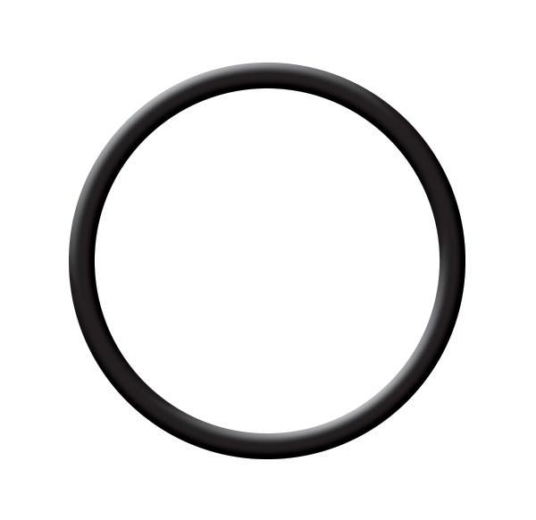 thumbnail of 'O' RING