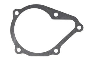 ENT010815, Water pump gasket ENGITECH