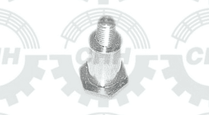 thumbnail of PIN FASTENER