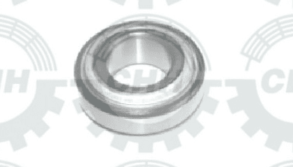 6215780, BEARING Chaparro Agricola