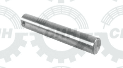 thumbnail of PIN FASTENER