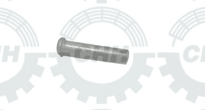 thumbnail of PIN FASTENER