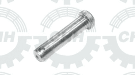 thumbnail of PIN FASTENER