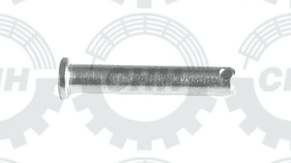 thumbnail of PIN FASTENER