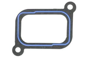 ENT010296, Gasket, intake manifold FP Diesel