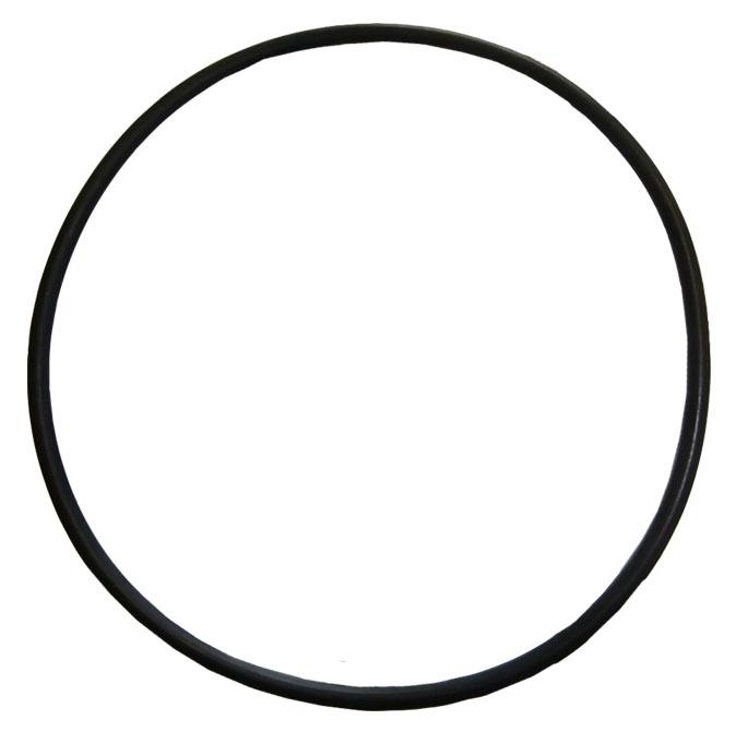 thumbnail of O Ring Fendt for Filter F916100600010